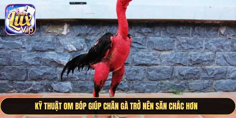 Nhà cái LUXVIP mang đến trải nghiệm đá gà trên casino hấp dẫn