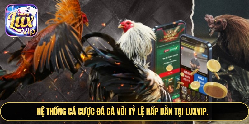 Hệ thống cá cược đá gà với tỷ lệ hấp dẫn tại LUXVIP.