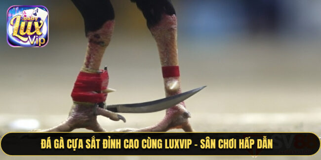 Đá Gà Cựa Sắt