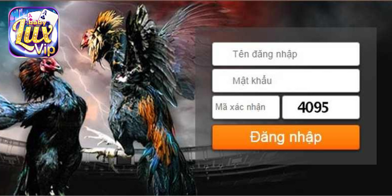Hướng dẫn nhập thông tin tài khoản LUXVIP.