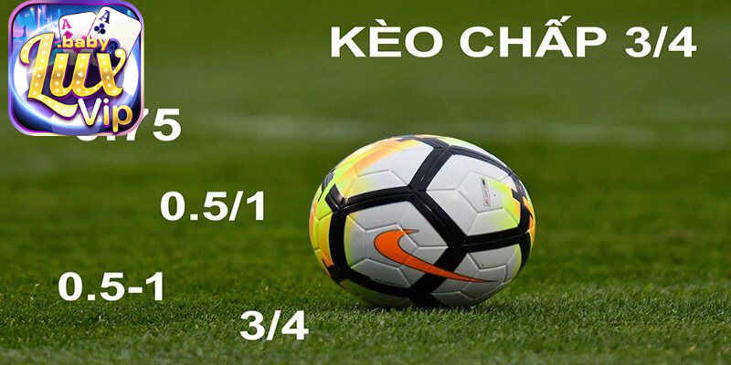 Cách đọc kèo handicap trong bảng tỷ lệ kèo