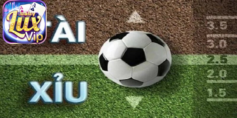 Cách đọc kèo tài xỉu chính xác trong cá cược thể thao