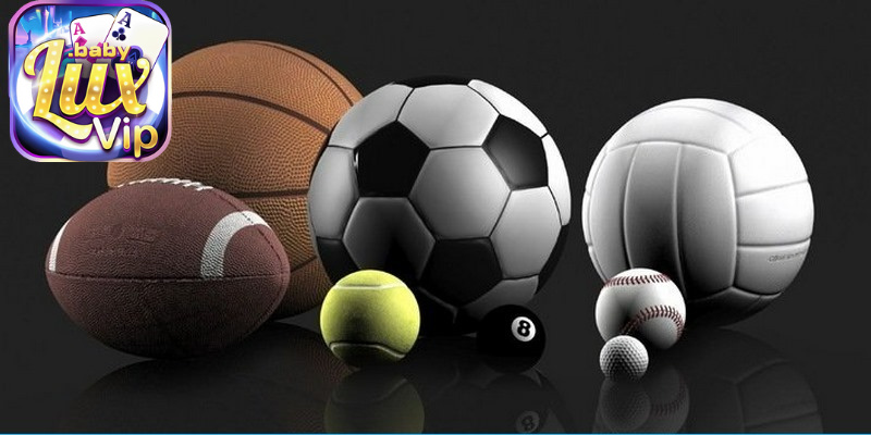 Tham gia cá cược đẳng cấp tại nhà cái